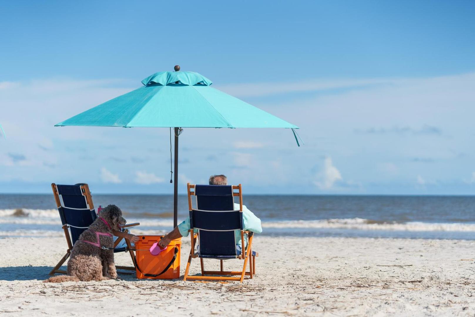 Fripp Island412 Tarpon Blvd别墅 外观 照片